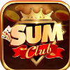 sumclub1org